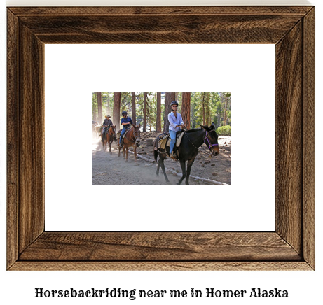 horseback riding near me in Homer, Alaska